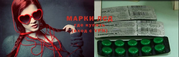 ПСИЛОЦИБИНОВЫЕ ГРИБЫ Балабаново