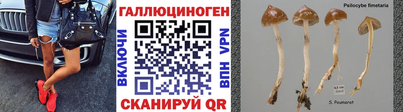 Галлюциногенные грибы ЛСД  Купить закладки  Мегион 